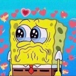 Meet your Posher, King